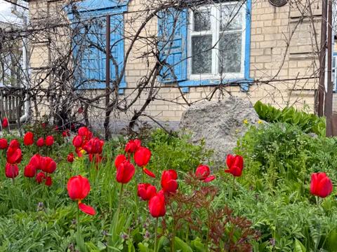 будинок за адресою Волонтерська