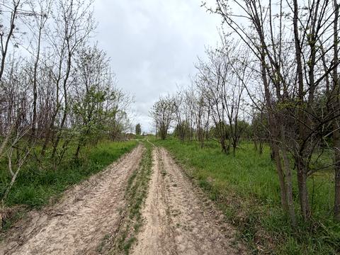 ділянка за адресою 