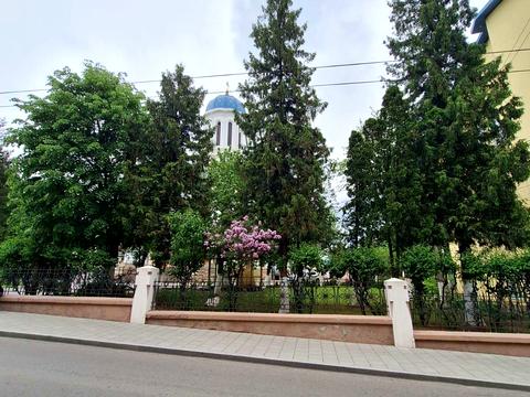 квартира по адресу Русская ул., 46