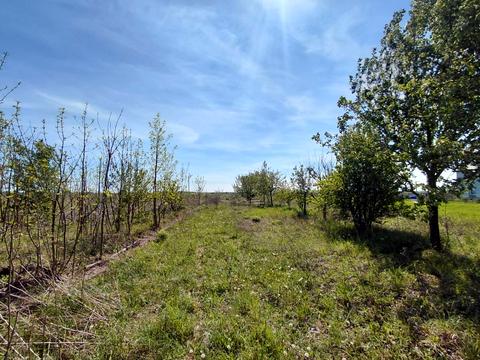 участок по адресу с. Коршовец, Квітнева