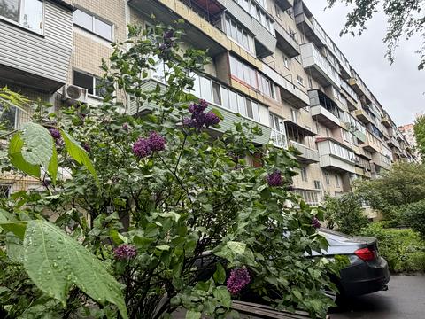 квартира за адресою Леся Курбаса просп., 15