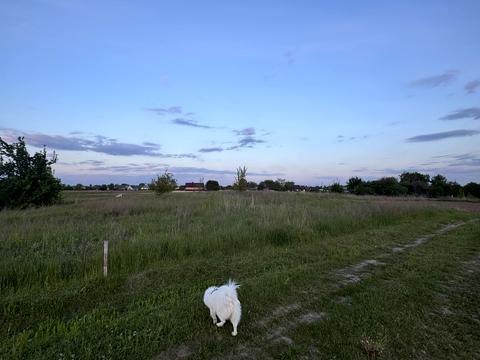 ділянка за адресою Горького, 24а