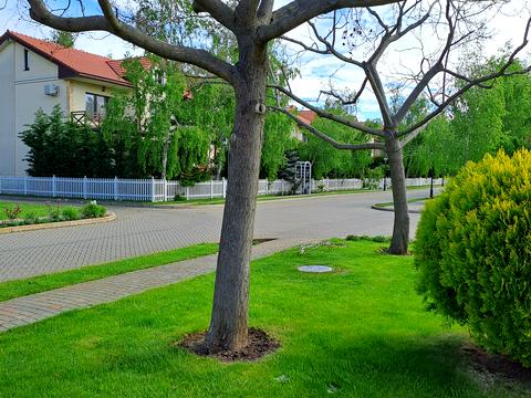 дом по адресу Нижняя