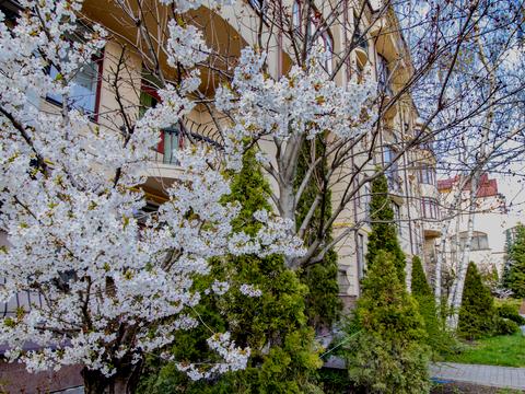квартира за адресою Данилевського вул., 40