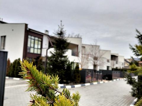 дом по адресу Лучшая ул. (Ломоносова), 74