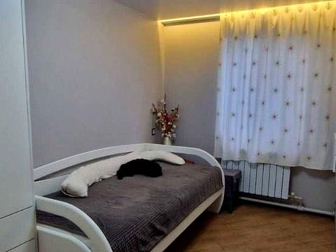 будинок за адресою зеленая