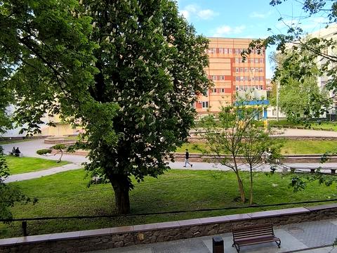 квартира за адресою Велика Перспективна вул. (Карла Маркса), 31