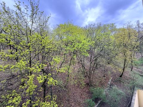 квартира за адресою Дегтярна вул., 19