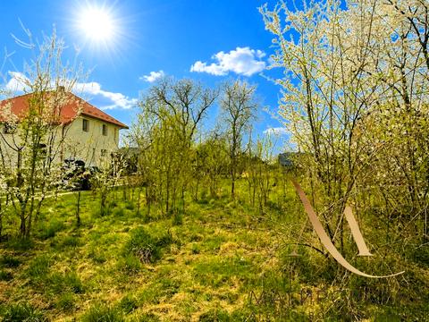 участок по адресу с. Оброшино, Княгині Ольги ул.