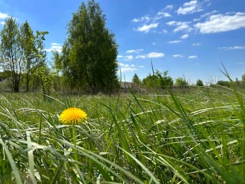 участок по адресу пгт. Немешаево, 