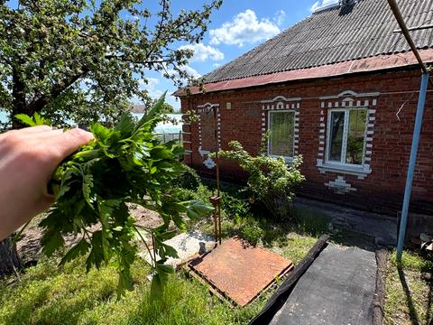 будинок за адресою смт. Введенка, Нагорна