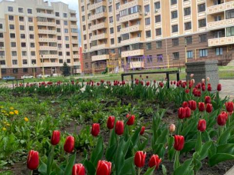 квартира за адресою Відродження вул., 7