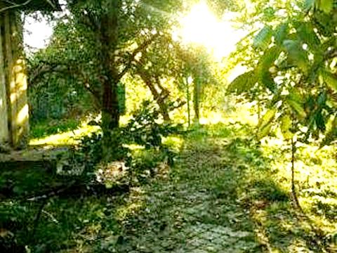 будинок за адресою Рибальська вул. (Рибацька), 2/12