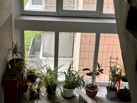 квартира за адресою Ігоря Шамо бульв. (Олексія Давидова), 6