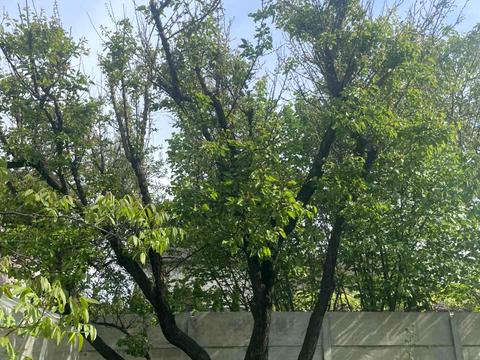 дом по адресу вулиця Садова, 32
