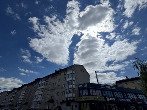 квартира по адресу Амосова пер., 7