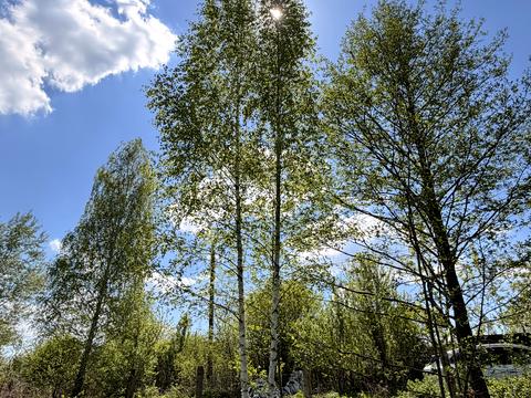 участок по адресу Дачний кооператив