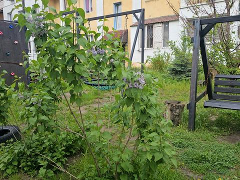 квартира за адресою Ахієзерів вул. (Халтуріна), 6-А