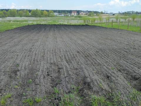 участок по адресу Центральна, 100