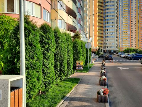 квартира за адресою Сім'ї Кульженків вул. (Петра Дегтяренка), 31-А