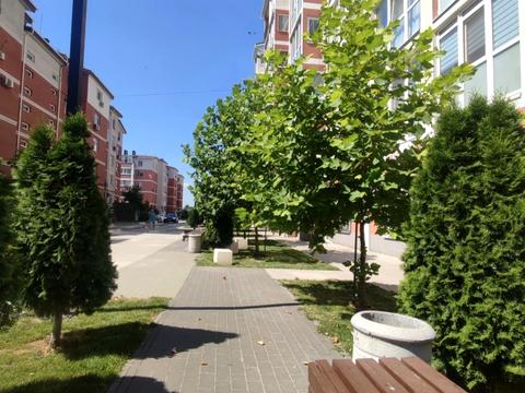 квартира по адресу Мира просп., 25