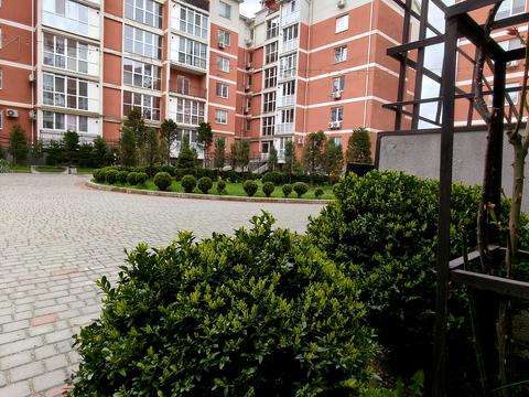 квартира по адресу Мира просп., 25