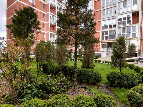 квартира по адресу Мира просп., 25