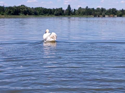 ділянка за адресою Барвінкова, 84