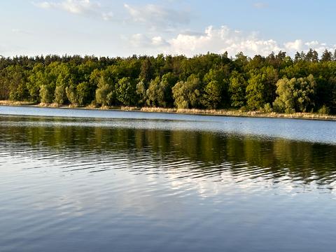 ділянка за адресою Барвінкова, 84