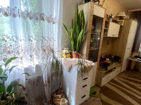 квартира за адресою Петра Курінного вул. (Комісара Рикова), 3