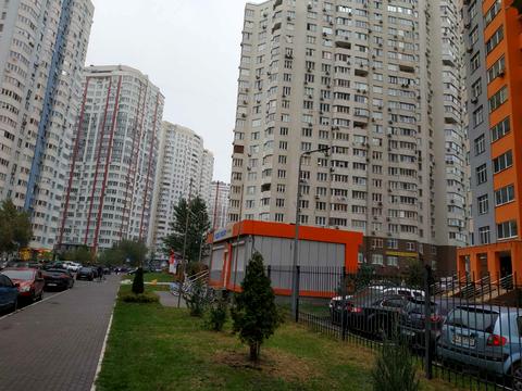 комерційна за адресою Олени Пчілки вул., 3
