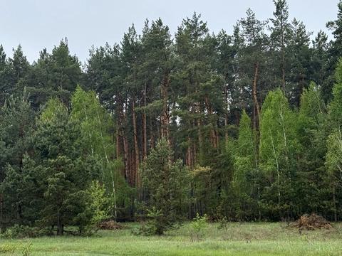 участок по адресу Шевченка, 38