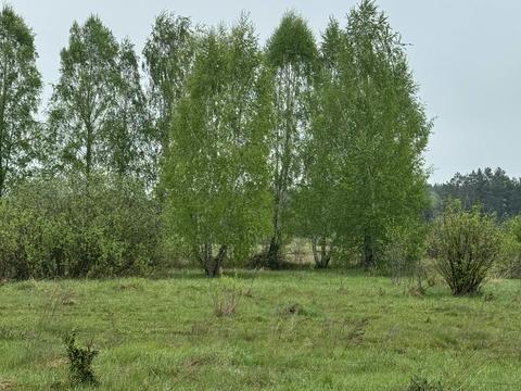 участок по адресу Шевченка, 38
