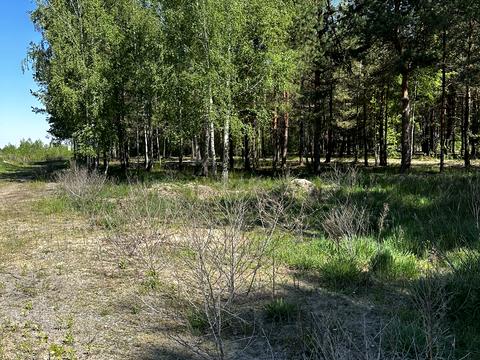 участок по адресу 