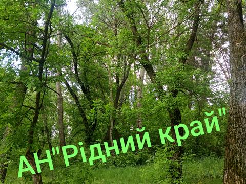 будинок за адресою Затишна