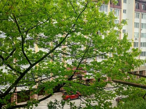 квартира по адресу Гетмана Мазепы ул., 167/1