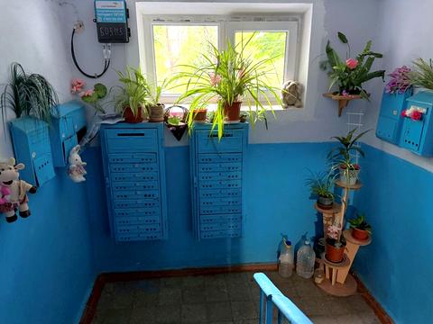квартира за адресою Віталія Бохонка вул. (Чайковського), 31
