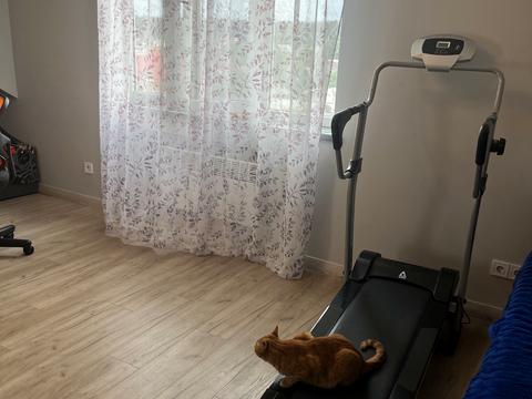 квартира за адресою Сергія Світославського вул. (Чкалова), 41