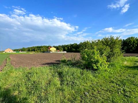 участок по адресу Андрія стрілка, 31