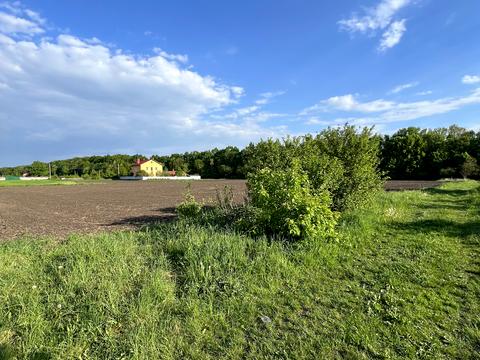 участок по адресу Стрілка, 31