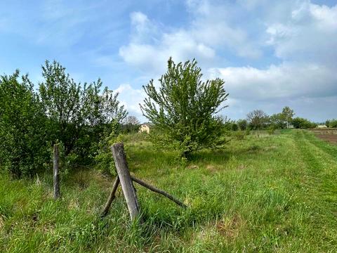 ділянка за адресою с. Старява, 