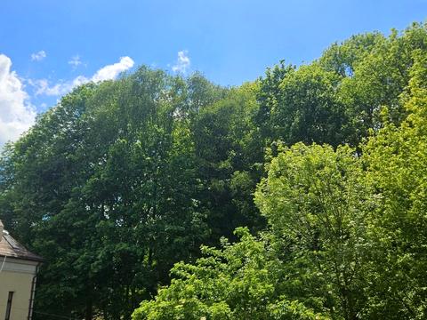 квартира за адресою Зарицьких вул. (), 8