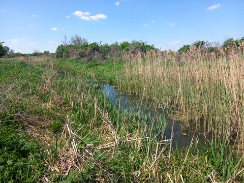дом по адресу Гагаріна, 67