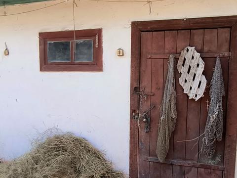дом по адресу Гагаріна, 67