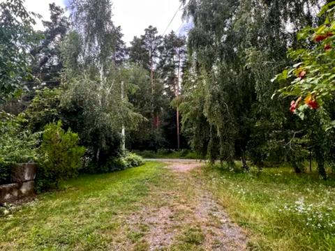 ділянка за адресою Чигрина