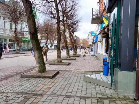комерційна за адресою Лесі Українки вул., 44