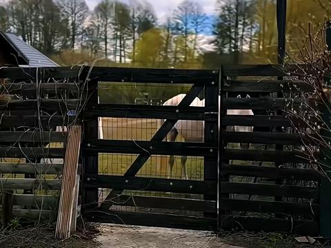 будинок за адресою Київська вул.