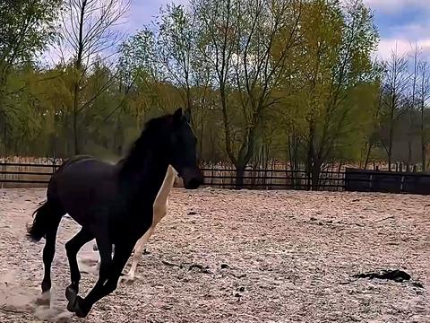 будинок за адресою Київська вул.