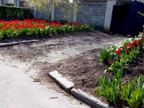 будинок за адресою Ольшанців вул.