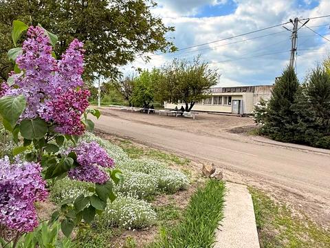 будинок за адресою центральна